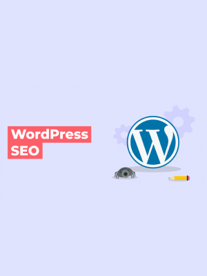 WordPress SEO Plugin