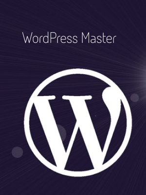 WordPress Master